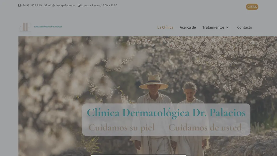 Portada de la web de Clínica Palacios
